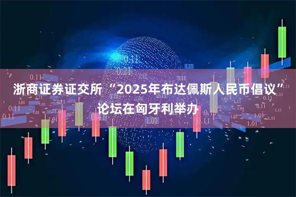 浙商证券证交所 “2025年布达佩斯人民币倡议”论坛在匈牙利举办