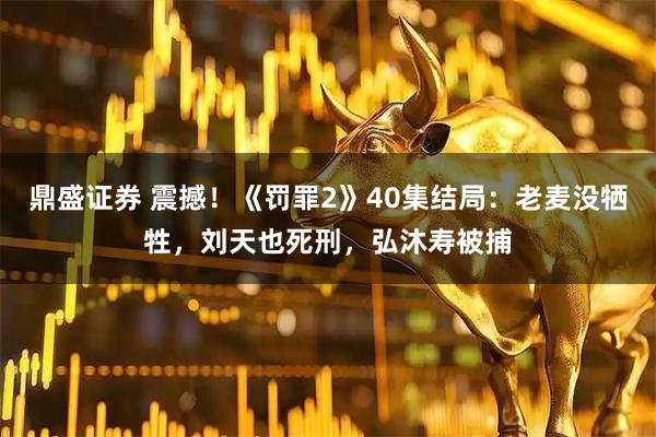 鼎盛证券 震撼！《罚罪2》40集结局：老麦没牺牲，刘天也死刑，弘沐寿被捕